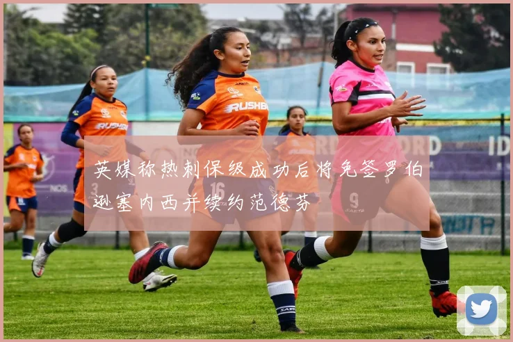 英媒称热刺保级成功后将免签罗伯逊塞内西并续约范德芬